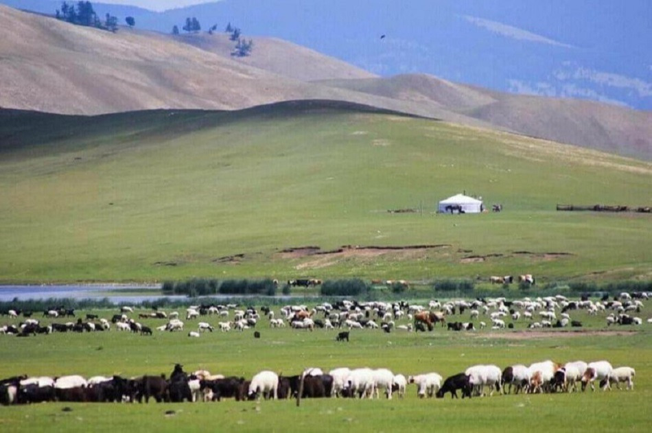 Ирэх өвөл-хаврын бэлчээрийн даац нутгийн 50 гаруй хувьд хүрэлцээтэй, 50 орчим хувьд хэтэрч гарсан байна